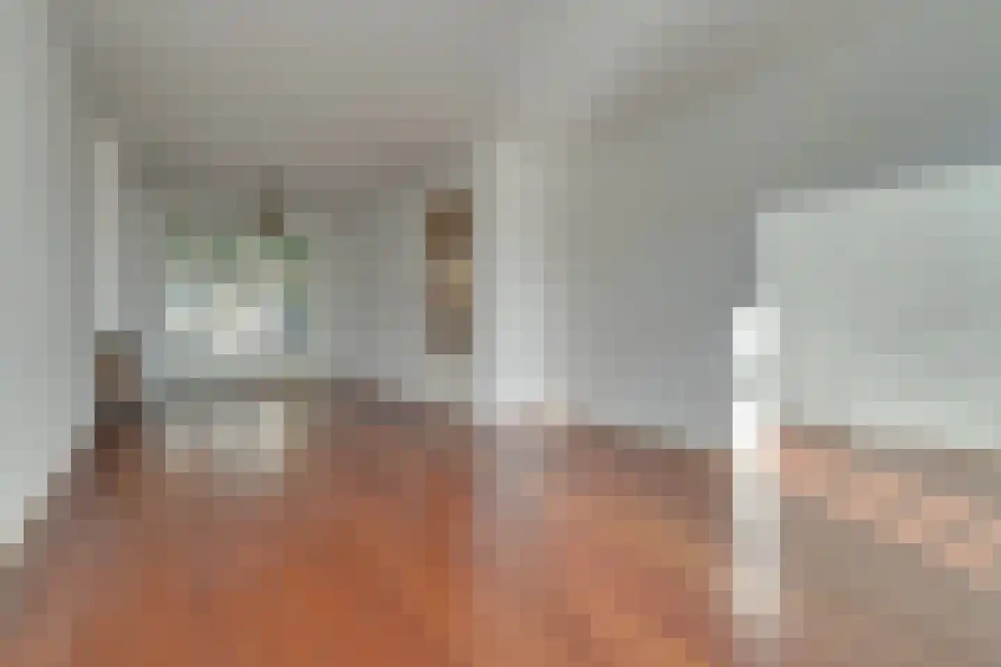 Linnaeusstraat 6 Amsterdam thumbnail 4