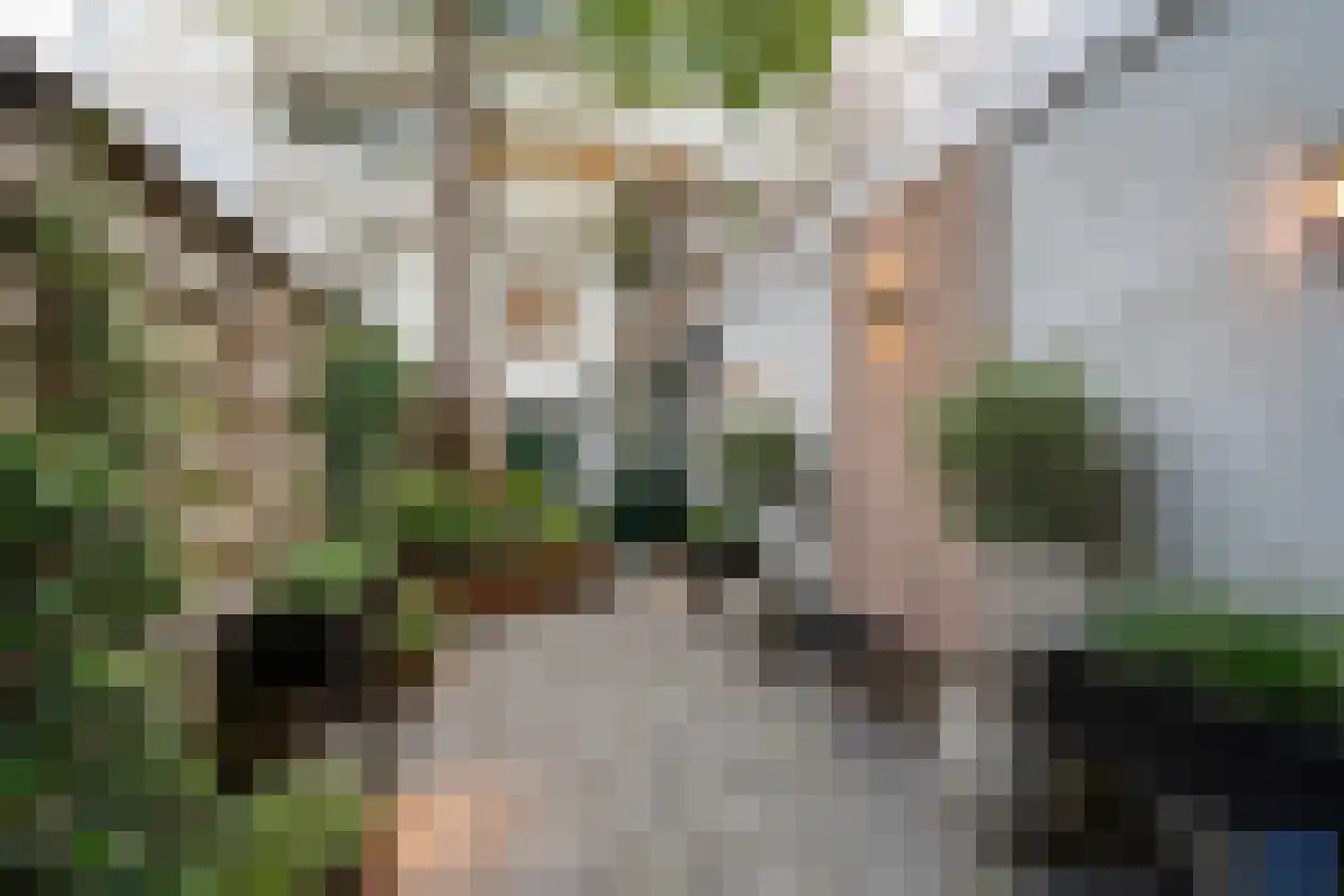 Linnaeusstraat 6 Amsterdam thumbnail 43