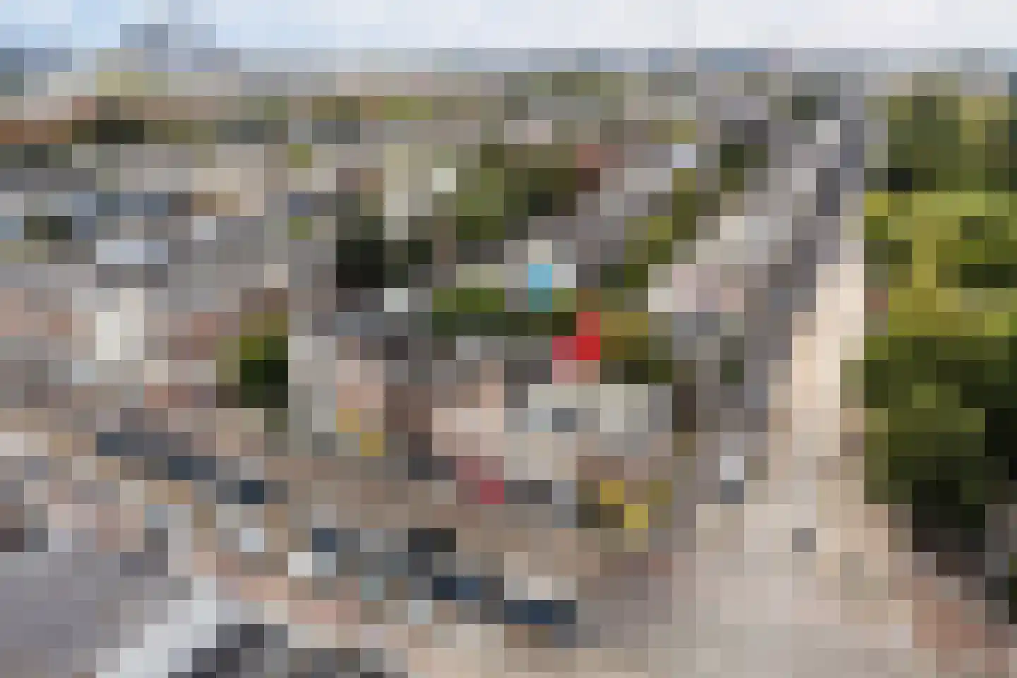 Linnaeusstraat 6 Amsterdam thumbnail 46