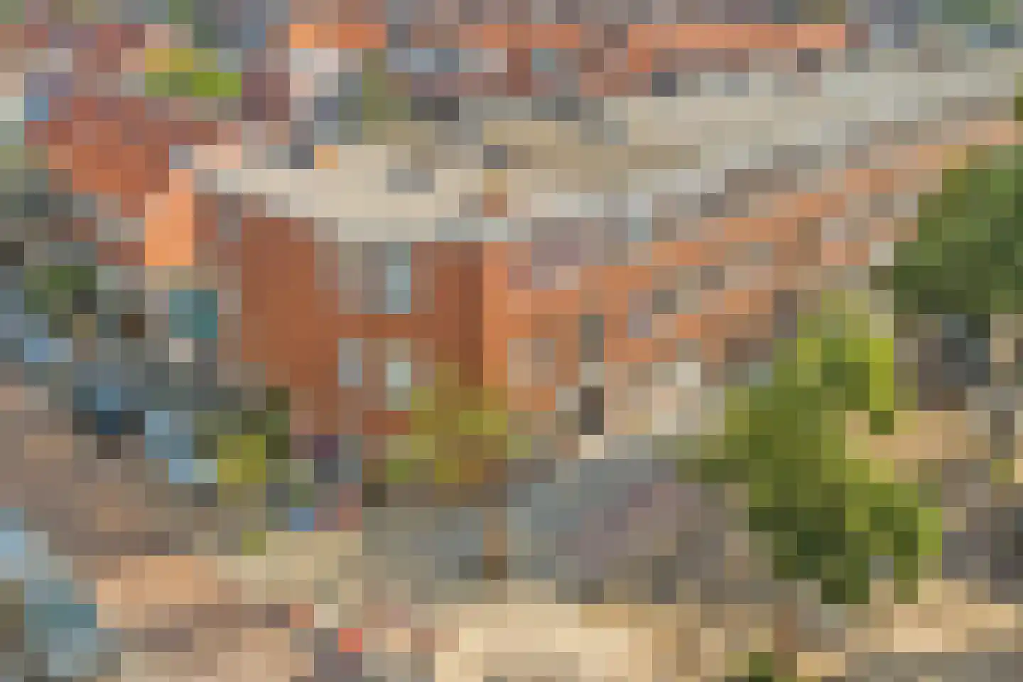 Linnaeusstraat 61 Den Haag thumbnail 43