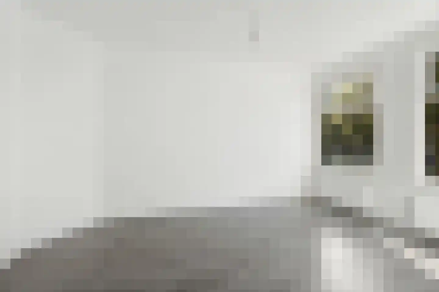 Linnaeusstraat 61 Den Haag thumbnail 5