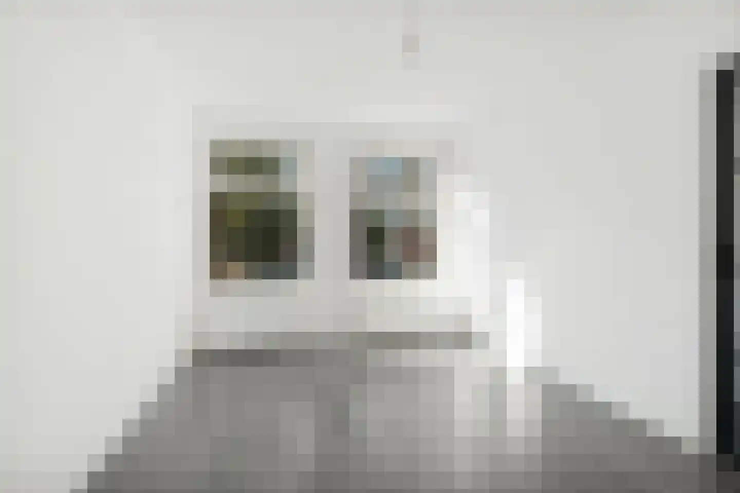 Linnaeusstraat 61 Den Haag thumbnail 6