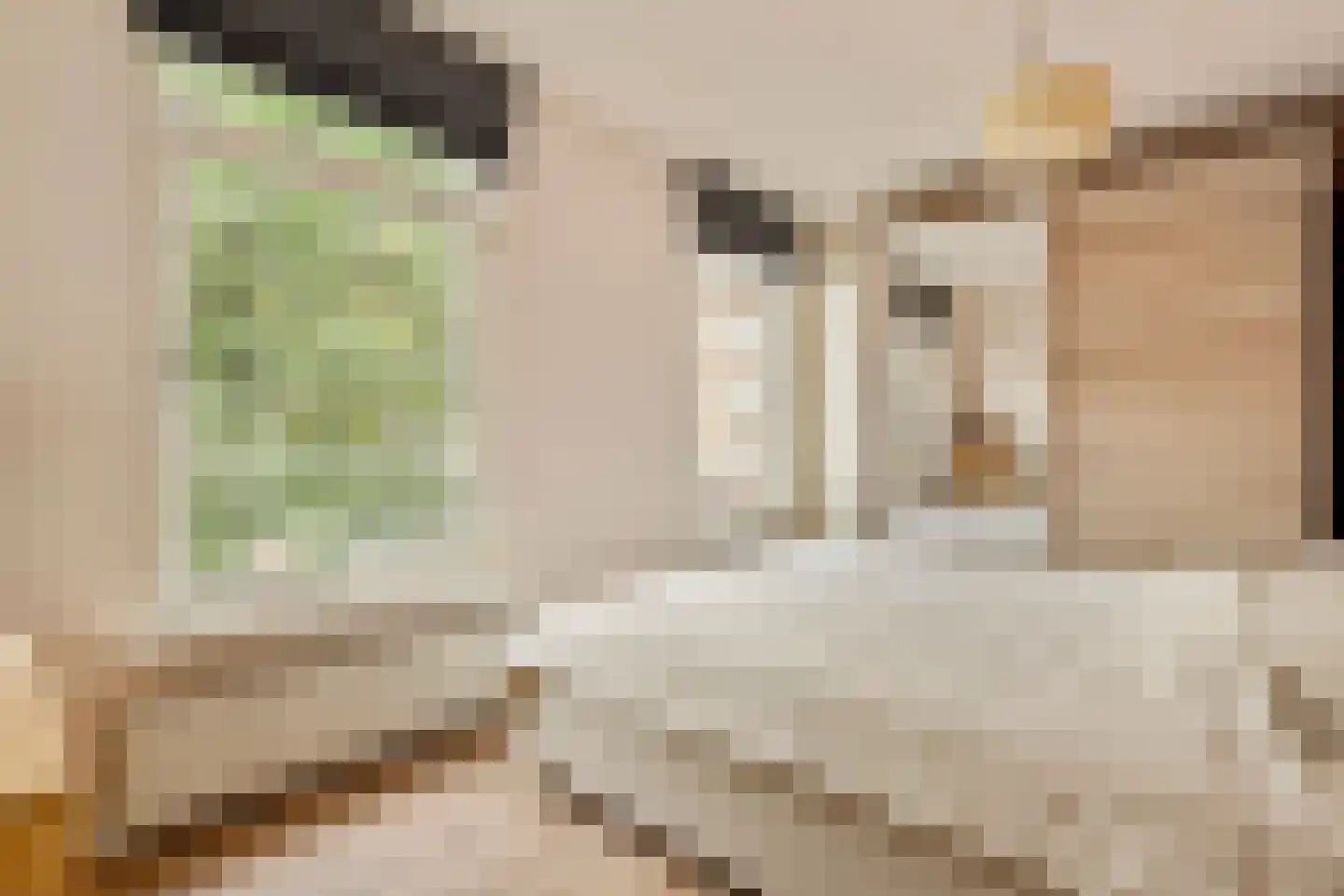 Linnaeusstraat 63 1 Amsterdam thumbnail 18