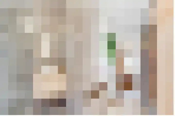 Linnaeusstraat 64 Utrecht thumbnail 31