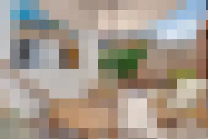 Linnaeusstraat 64 Utrecht thumbnail 34