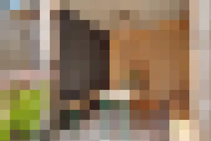 Linnaeusstraat 64 Utrecht thumbnail 35