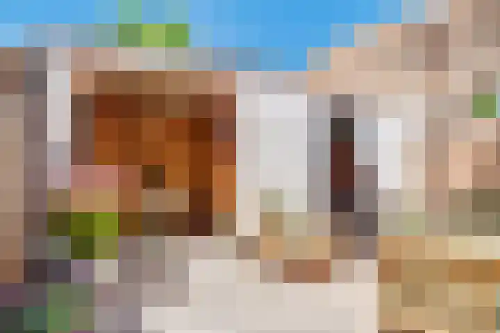 Linnaeusstraat 64 Utrecht thumbnail 36