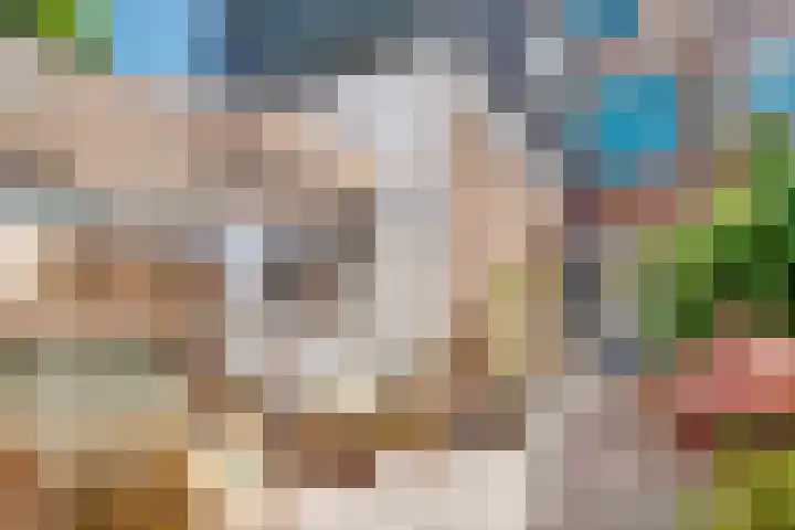 Linnaeusstraat 64 Utrecht thumbnail 37