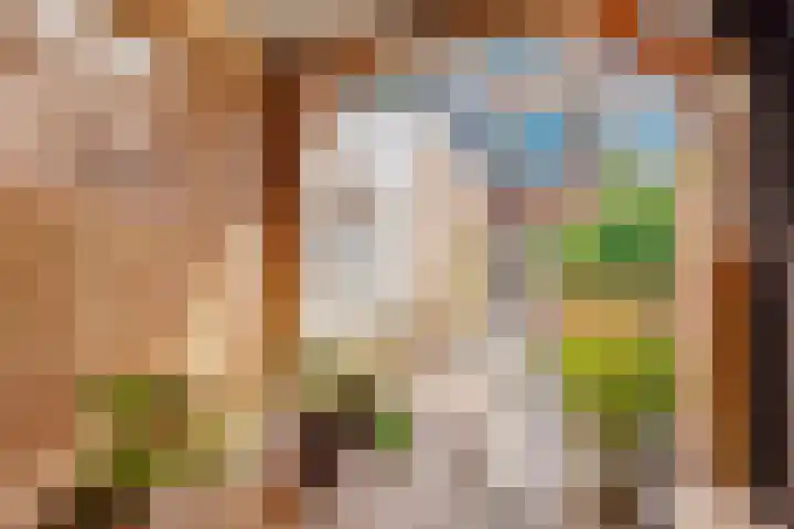 Linnaeusstraat 64 Utrecht thumbnail 39