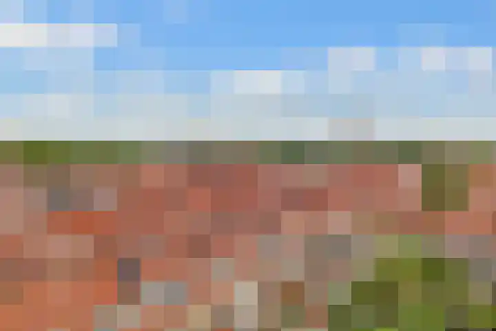 Linnaeusstraat 64 Utrecht thumbnail 4