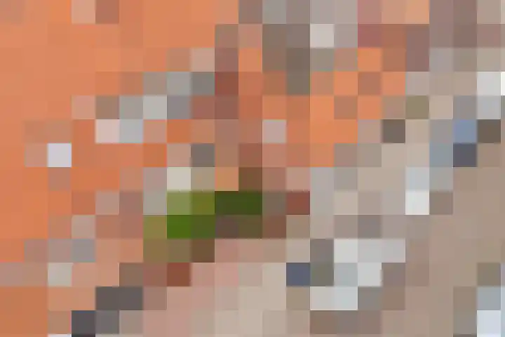 Linnaeusstraat 64 Utrecht thumbnail 5