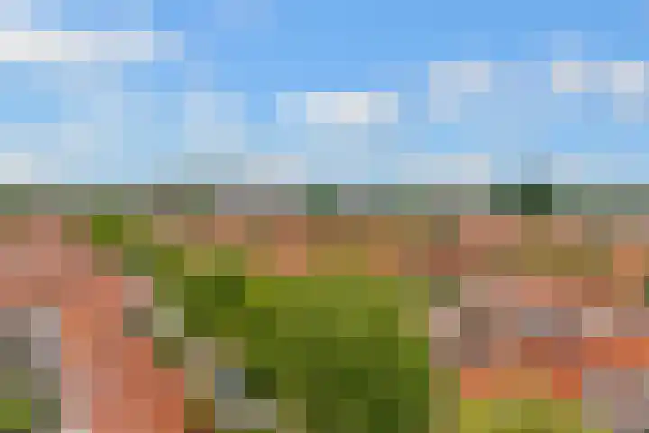 Linnaeusstraat 64 Utrecht thumbnail 7
