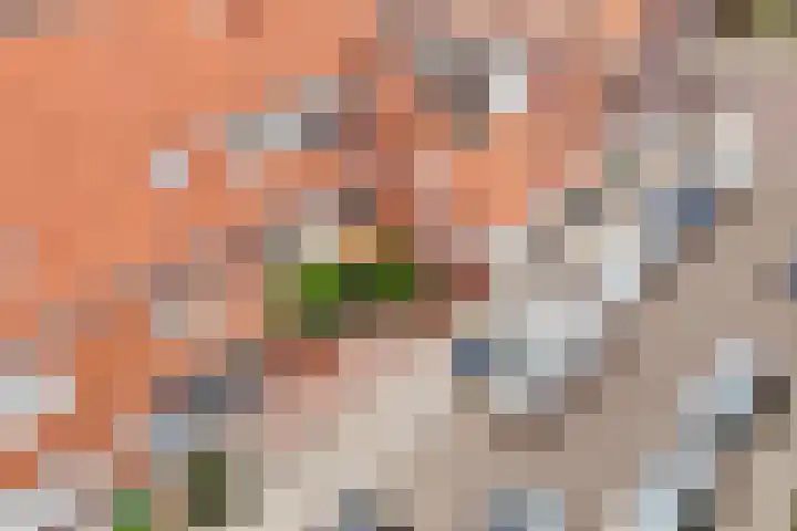 Linnaeusstraat 64 Utrecht thumbnail 9