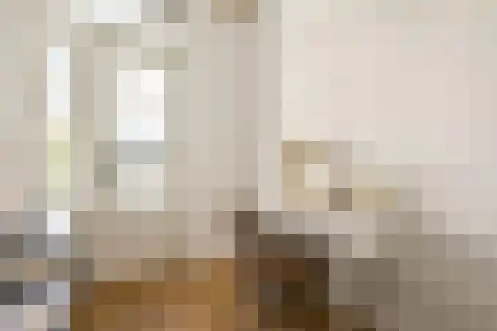 Linnaeusstraat 67 3 Amsterdam thumbnail 21