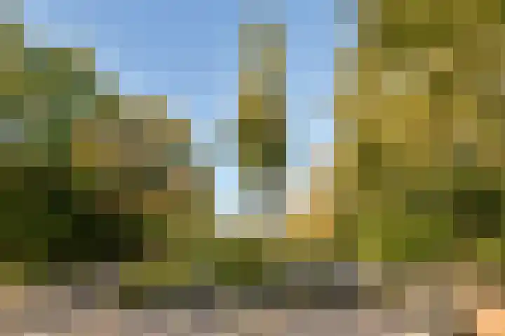 Linnaeusstraat 67 3 Amsterdam thumbnail 36