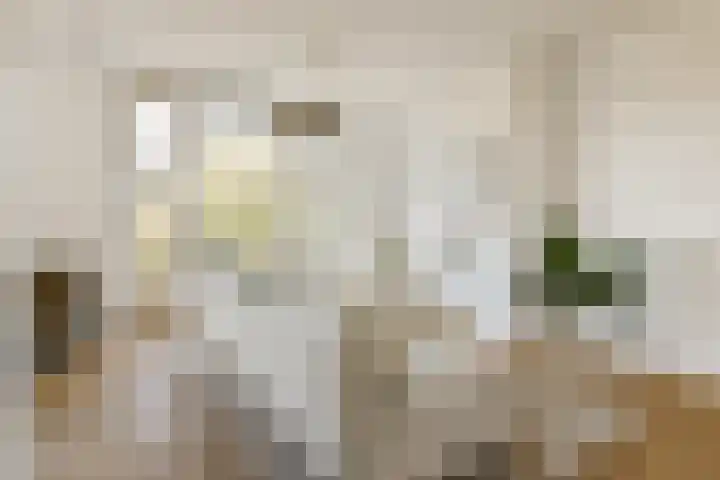 Linnaeusstraat 67 3 Amsterdam thumbnail 5