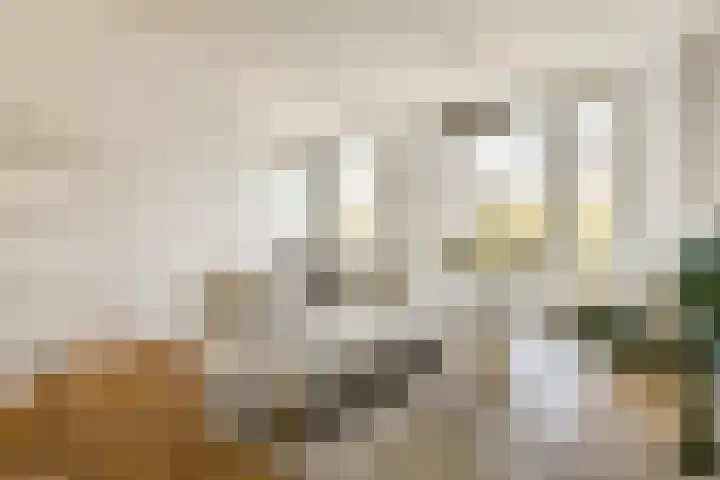 Linnaeusstraat 67 3 Amsterdam thumbnail 6