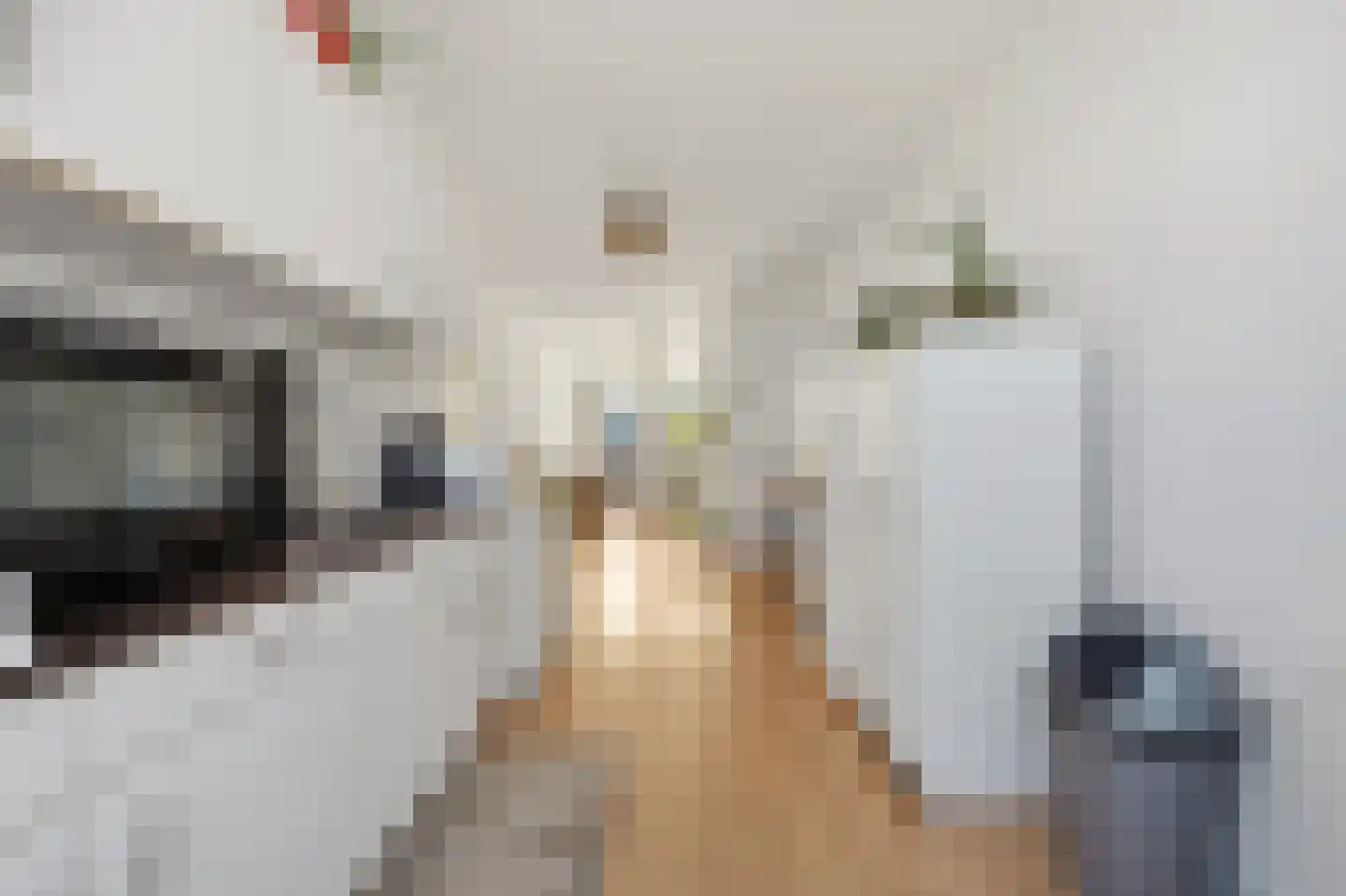 Linnaeusstraat 9 Den Haag thumbnail 12