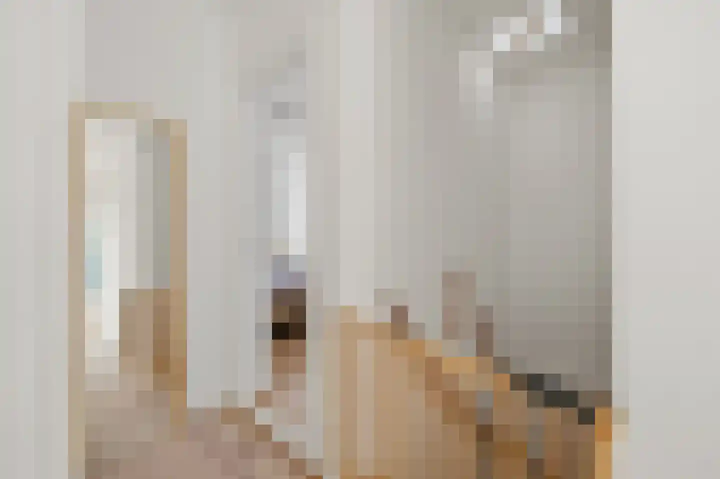 Linnaeusstraat 9 Den Haag thumbnail 17