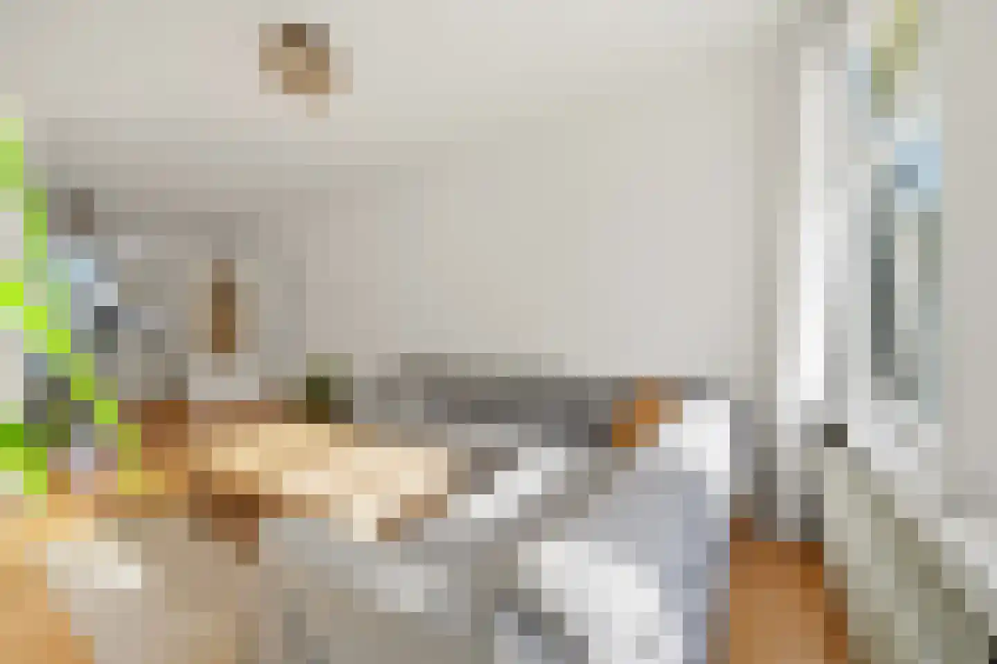 Linnaeusstraat 9 Den Haag thumbnail 4