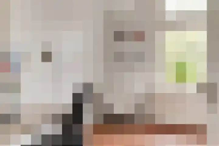 Linnaeusstraat 90 2 Amsterdam thumbnail 12