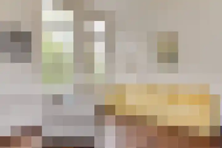 Linnaeusstraat 90 2 Amsterdam thumbnail 21