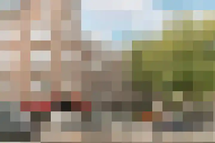 Linnaeusstraat 90 2 Amsterdam thumbnail 23