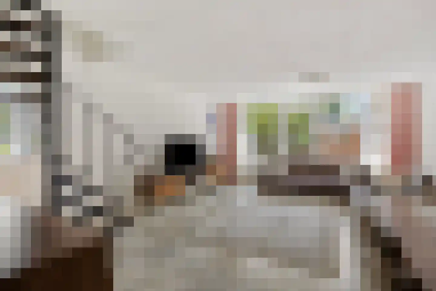 Linnaeusstraat 90 Zaandam thumbnail 17