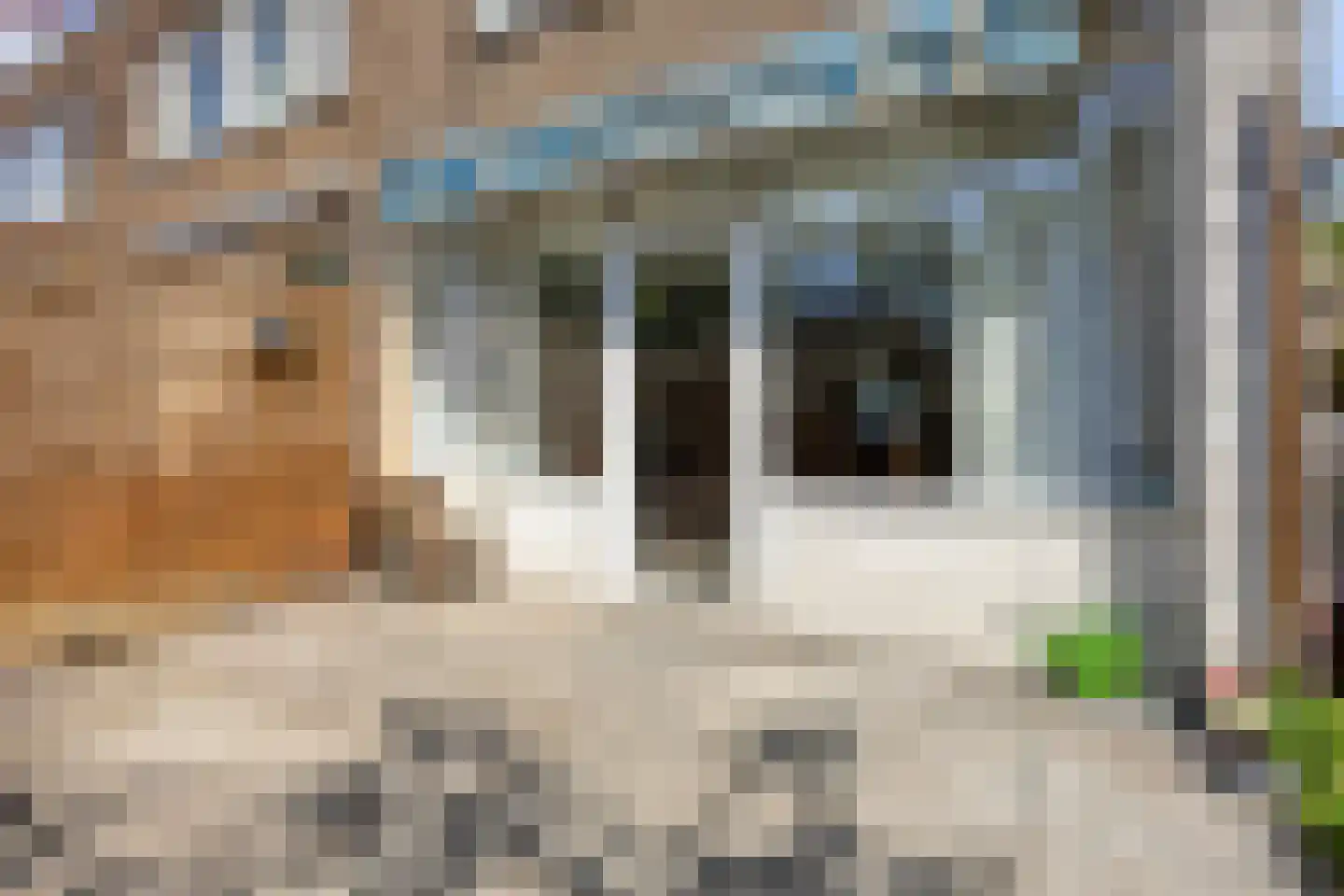 Linnaeusstraat 90 Zaandam thumbnail 35