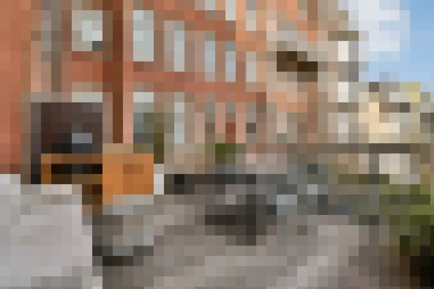 Linnaeusstraat 95 3 Amsterdam thumbnail 10