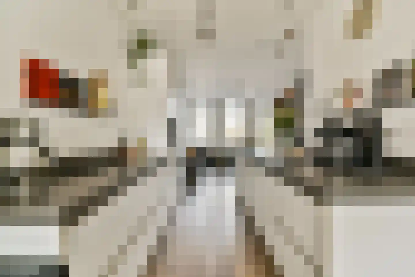 Linnaeusstraat 95 3 Amsterdam thumbnail 7