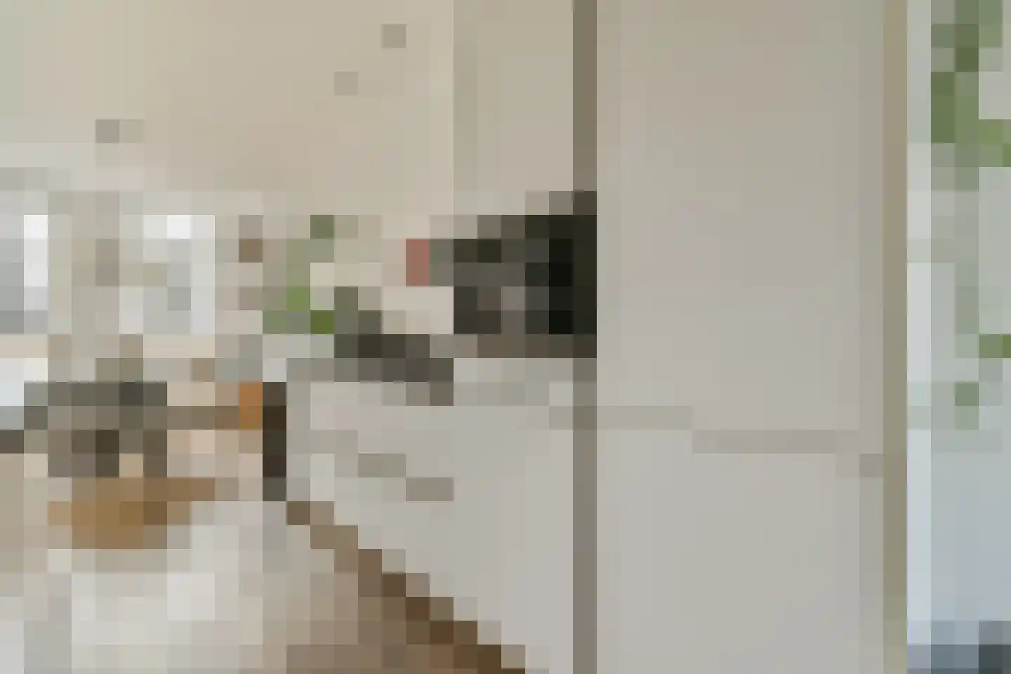 Linnaeusstraat 95 3 Amsterdam thumbnail 9