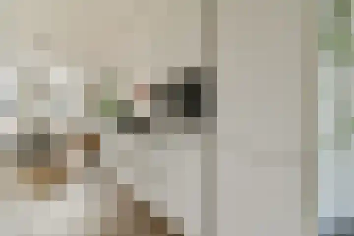 Linnaeusstraat 95 H Amsterdam thumbnail 9