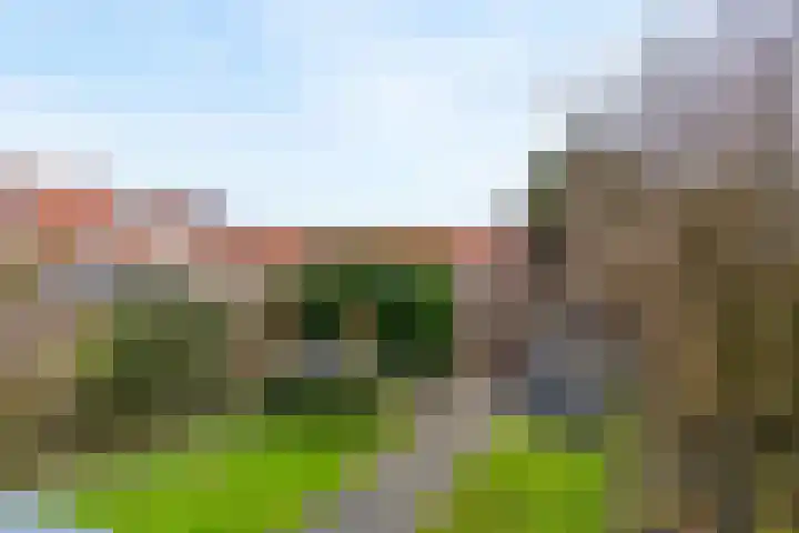 Linnaeusstraat 95 IJmuiden thumbnail 18