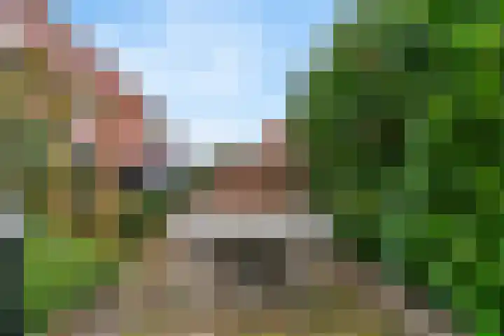Linnaeusstraat 95 IJmuiden thumbnail 21