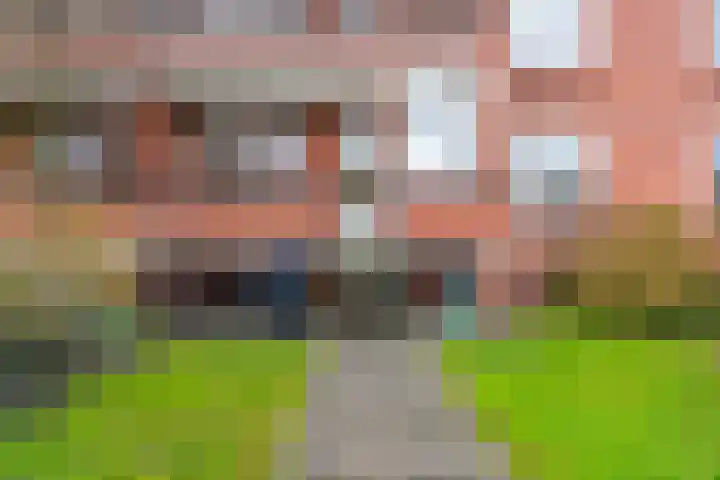 Linnaeusstraat 95 IJmuiden thumbnail 22