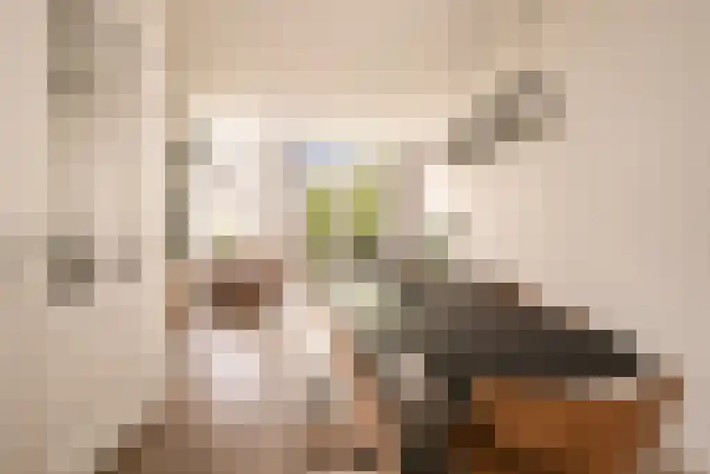 Linnaeusstraat 97 H Amsterdam thumbnail 4