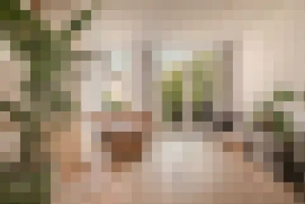 Linnaeusstraat 97 H Amsterdam thumbnail 5