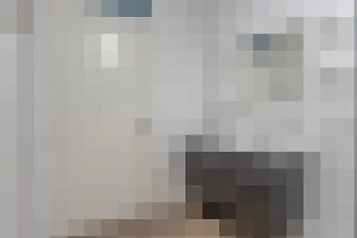 Linnaeusweg 3 Boskoop thumbnail 14