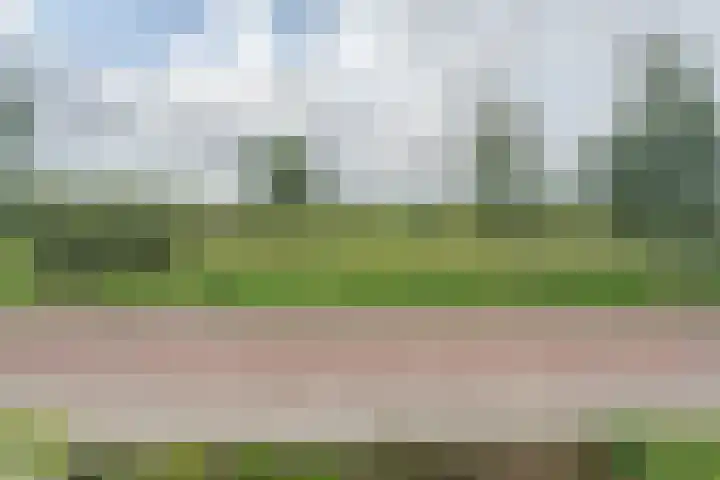 Linnaeusweg 3 Boskoop thumbnail 20