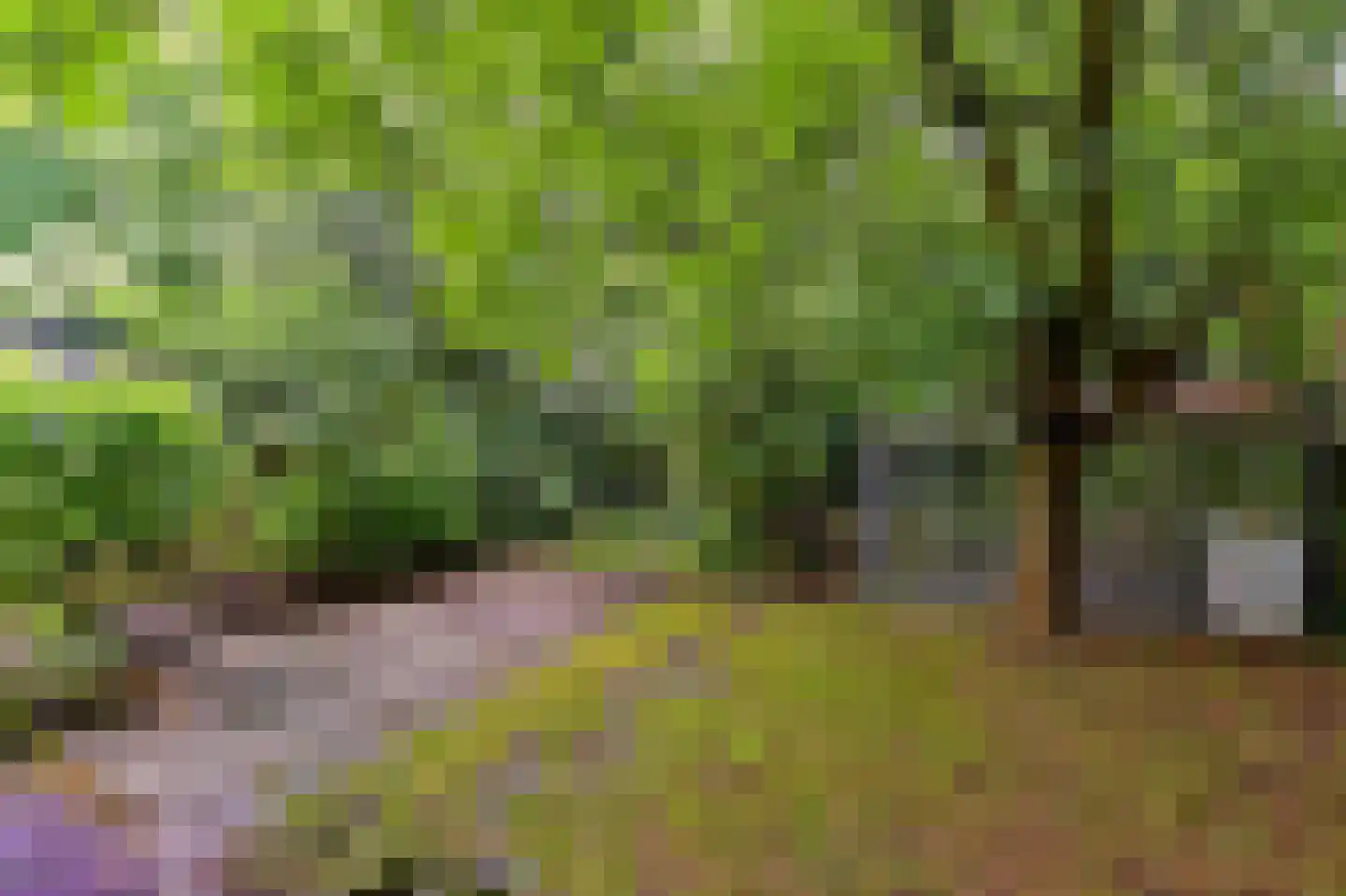 Linnaeusweg 40 Venlo thumbnail 21