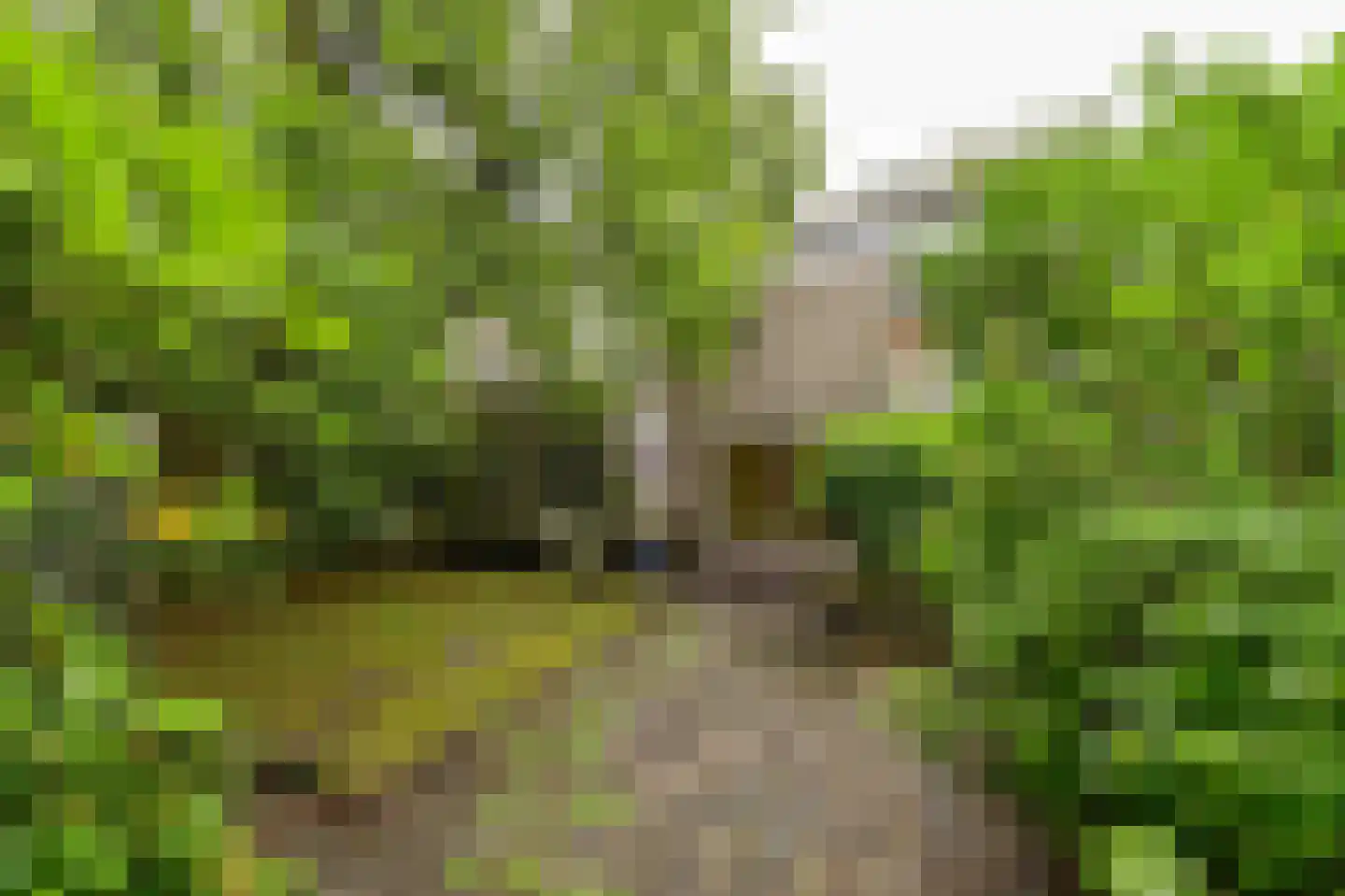 Linnaeusweg 40 Venlo thumbnail 22