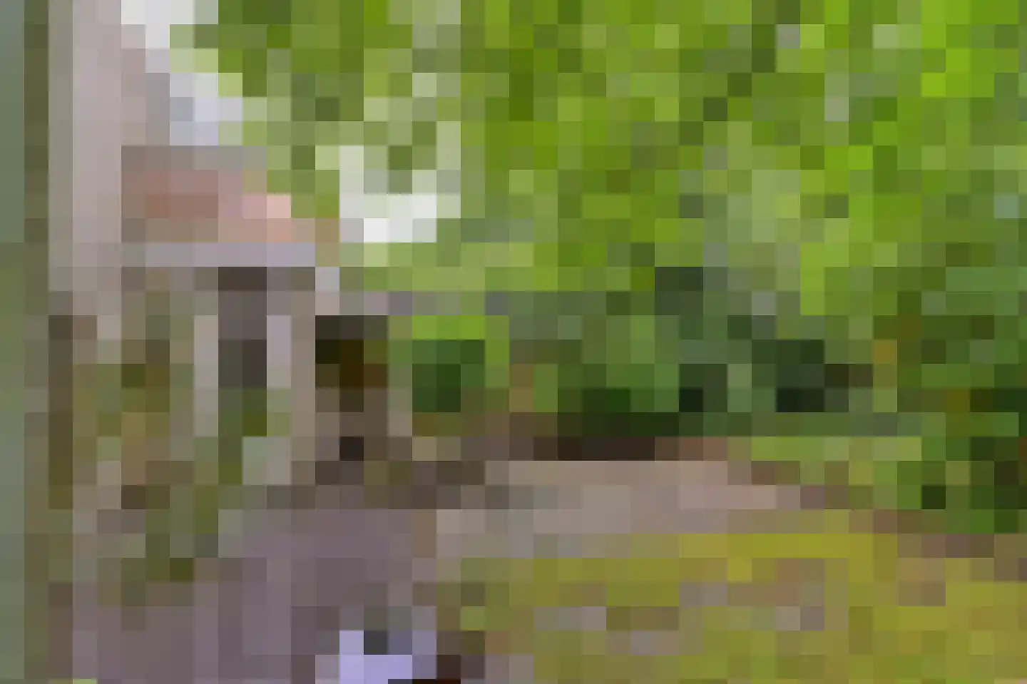 Linnaeusweg 40 Venlo thumbnail 4