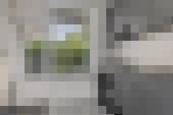 Linnaeusweg 56 Boskoop thumbnail 10