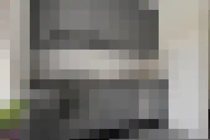 Linnaeusweg 56 Boskoop thumbnail 11