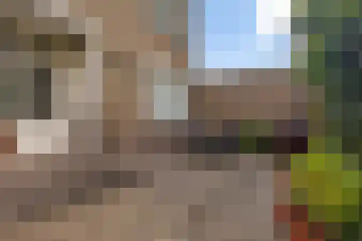 Linnaeusweg 56 Boskoop thumbnail 19