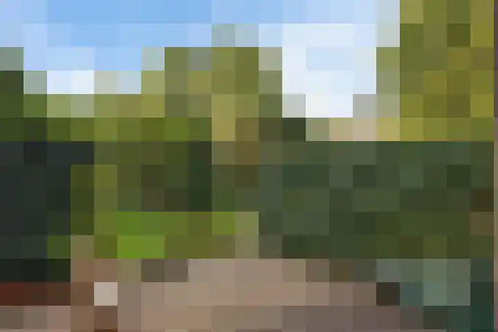 Linnaeusweg 56 Boskoop thumbnail 21