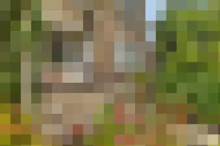 Linnaeusweg 56 Boskoop thumbnail 22
