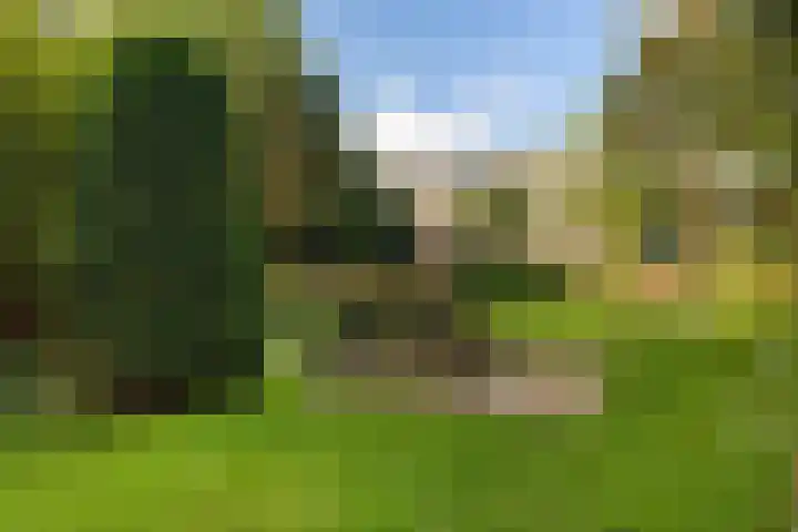 Linnaeusweg 56 Boskoop thumbnail 23