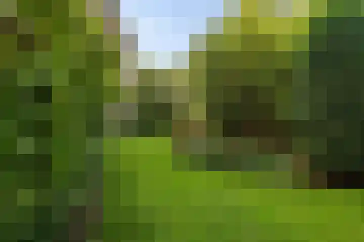 Linnaeusweg 56 Boskoop thumbnail 24